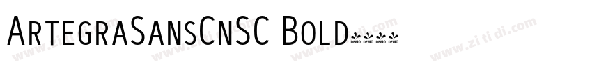 ArtegraSansCnSC Bold字体转换